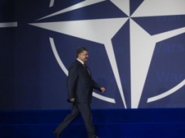 Порошенко создал комиссию по координации вступления Украины в НАТО