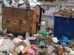 Город под Одессой утопает в мусоре (ФОТОФАКТ)