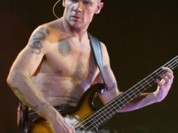 Белорусские таможенники заставили группу RHCP подписать снимки группы Metallica