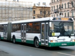 Автобусы остались самым популярным транспортом в Санкт-Петербурге