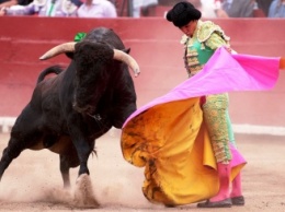 "Кровавая коррида" в Испании: бык убил тореадора на глазах у зрителей (Видео)