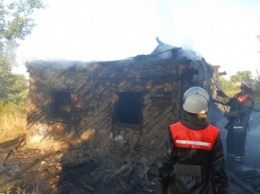 Под Киевом в огне погибли мать с ребенком