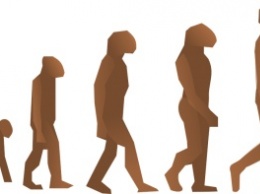 Ученые: Эволюция сегодня отбирает необразованных людей