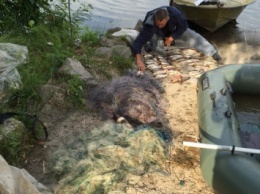 В Запорожской области браконьер попался с рыбой на 15 тысяч