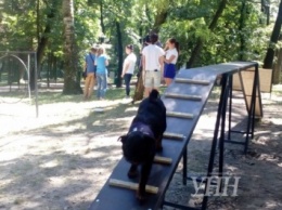 Тренажеры для собак установили в парке во Львове