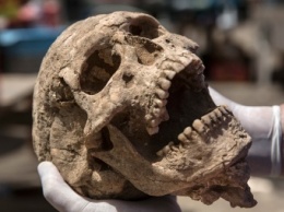 Археологи обнаружили кладбище загадочного библейского народа