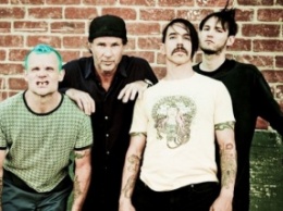 Белорусские таможенники прокомментировали инцидент с группой Red Hot Chili Peppers