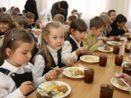 Школьники Мирнограда (Димитрова) станут питаться лучше