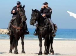 В Херсонской области может появиться конная полиция