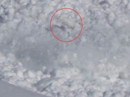 Сумасшедший заяц прорвался сквозь смертоносную лавину на Камчатке