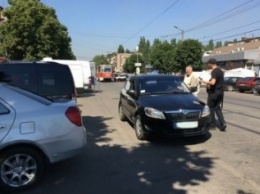 В центре Кривого Рога оса ужалила водителя, а он - полицейских (ФОТО)