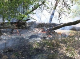 Вдоль детской железной дороги в Запорожье горел лес
