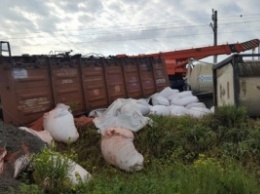 В Нижегородской области возбудили уголовное дело после схода поезда с рельс