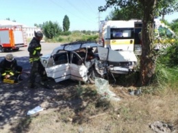 Авто с пятью пассажирами влетело в дерево в Запорожской области