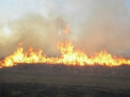 На Черниговщине горело более трех гектар сухой травы