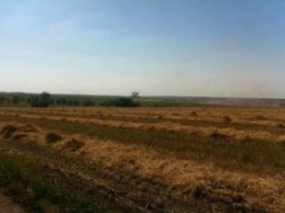 На Днепропетровщине правоохранители изъяли 5 тонн зерна, выращенного на самовольно занятой земле