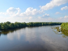 Госэкоинспекция сообщила о результатах исследования воды в реке Остер