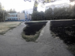 Футбольное поле в школе выжгли дотла (фото)