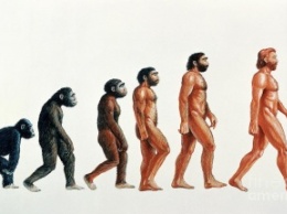 Ученые: На эволюцию человека могло оказать влияние реликтовое излучение