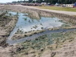 "Ну, так не купайтесь там", - мэр Скадовска местным жителям в ответ на обращение о стекающих в море нечистотах (фото)