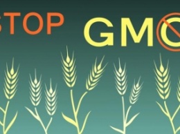 В Украине могут запретить ГМО до 2023 года