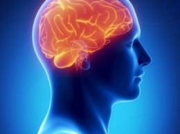 Ученые нашли новые свойства "хранилища памяти" в мозге
