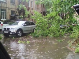 Упавшие ветки, поваленные деревья, пробки: в Харькове прошел сильный ливень (ФОТО, ВИДЕО)