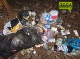 Власти Ялты решили чаще убирать мусор