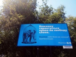 Билборды с изображением слона призывают криворожан прочесть Конституцию
