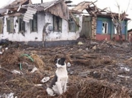 Более 2,5 тыс. жителей Донецкой области получат помощь на восстановление домов