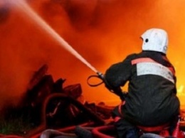 В Запорожье 10 человек спасли от пожара