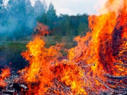 В районе Трехизбенки горит лес