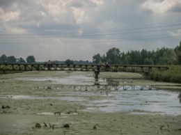 На Черниговщине река Остер погибла от токсичных отходов, а вода стала зеленого цвета