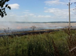 Поля в Одесской области охватил огонь (фото)