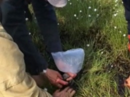 В тундре обнаружили загадочные подземные пузыри газа (видео)