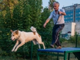 В Харькове открыли новую площадку для тренировки собак