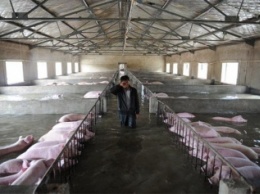 Сильные ливни в Китае унесли жизни 26 человек