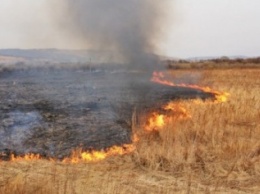 С начала июля в Макеевке случилось полсотни пожаров на открытой территории