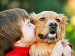 Учные: Собаки испытывают счастье, находясь рядом с хозяином
