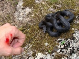 В Хмельницкой области парня во время отдыха на Днестре укусила змея