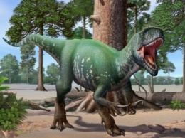 Ученые: Найденный вид динозавров может пролить свет на мегарапторов