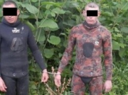 На Киевщине начали платить людям по тысяче гривень за каждого пойманного бандита