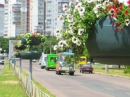 Висящие клумбы, как на Рокоссовского, в ближайшее время появятся еще в трех районах Чернигова