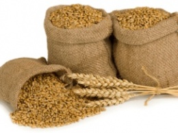 В Запорожском регионе собрали более 2 миллионов тонн зерна нового урожая