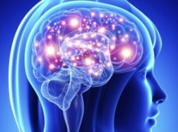 Ученые объяснили возникновение бета-ритмов в мозге