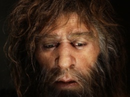 Перед вымиранием численность неандертальцев достигла пика