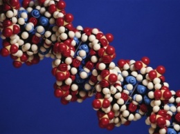 Ученые обнаружили гены, провоцирующие развитие БДН