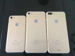 Все три новых iPhone засняли на «семейном фото»