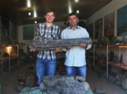 На раскопках в Дагестане найдены останки ихтонзавра