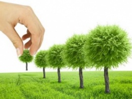 Жители Днепра просят на 80% увеличить численность зеленых насаждений